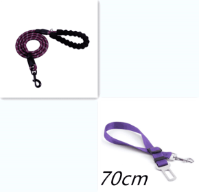 Reflective Dog Leash Nylon Pet Dog Leash Rope For Small Medium Large Dogs Walking Training Pet Suppiles (Color: Purple set)